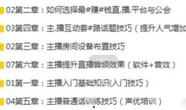 网红爆料素材视频大全集,揭秘网络热点背后的真相